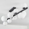 Chehalis Ceiling Light - glass 10 cm, 12 cm, 15 cm white, 10-light sources