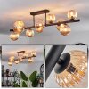 Chehalis Ceiling Light - glass 10 cm, 12 cm, 15 cm Amber, 10-light sources