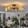 Chehalis Ceiling Light - glass 12 cm, 15 cm Amber, 6-light sources
