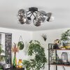 Chehalis Ceiling Light - glass 12 cm, 15 cm clear, Smoke-coloured, 6-light sources