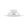 Reality Flaga ceiling fan LED white, 1-light source, Remote control