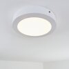 Leto outdoor ceiling light LED white, 1-light source