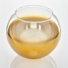 Koyoto replacement glass 25 cm gold, clear