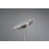 Reality HAORA Floor Lamp LED matt nickel, 2-light sources
