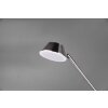 Reality HAORA Floor Lamp LED matt nickel, 2-light sources