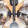 Gastor Ceiling Light - glass 15 cm Amber, Smoke-coloured, 8-light sources