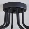 Chehalis Ceiling Light - glass 12 cm gold, black, 8-light sources