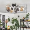 Chehalis Ceiling Light - glass 15 cm Amber, Smoke-coloured, 6-light sources
