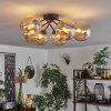 Chehalis Ceiling Light - glass 15 cm Amber, 6-light sources