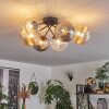 Chehalis Ceiling Light - glass 10 cm, 12 cm, 15 cm Amber, clear, Smoke-coloured, 6-light sources