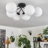 Chehalis Ceiling Light - glass 15 cm white, 6-light sources