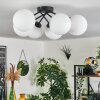 Chehalis Ceiling Light - glass 15 cm white, 6-light sources