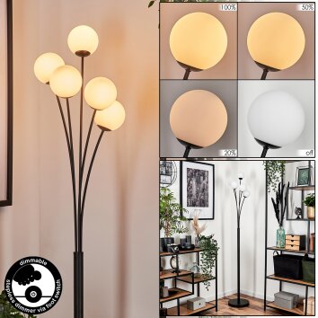 Bernado Floor Lamp - glass 10 cm white, 5-light sources