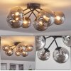 Chehalis Ceiling Light - glass 12 cm, 15cm Smoke-coloured, 6-light sources