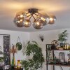 Chehalis Ceiling Light - glass 12 cm, 15cm Smoke-coloured, 6-light sources