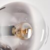 Gastor Floor Lamp - glass 15 cm clear, Smoke-coloured, 4-light sources