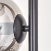 Gastor Floor Lamp - glass 15 cm clear, Smoke-coloured, 4-light sources