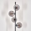 Gastor Floor Lamp - glass 15 cm Smoke-coloured, 4-light sources