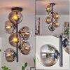 Gastor Ceiling Light - glass 15 cm clear, Smoke-coloured, 6-light sources