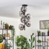 Gastor Ceiling Light - glass 15 cm clear, Smoke-coloured, 6-light sources