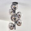 Gastor Ceiling Light - glass 15 cm clear, Smoke-coloured, 6-light sources