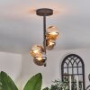 Chehalis Ceiling Light - glass 10 cm Amber, Smoke-coloured, 4-light sources