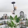 Chehalis Ceiling Light - glass 10 cm Amber, Smoke-coloured, 4-light sources