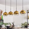 Ripoll Pendant Light - glass 25 cm gold, clear, 4-light sources
