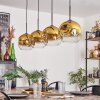 Ripoll Pendant Light - glass 25 cm gold, clear, 4-light sources