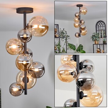 Chehalis Ceiling Light - glass 10 cm, 12 cm, 15 cm Amber, Smoke-coloured, 8-light sources