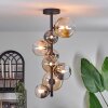 Chehalis Ceiling Light - glass 10 cm, 12 cm, 15 cm Amber, clear, Smoke-coloured, 8-light sources