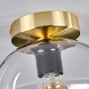 Apedo Ceiling Light - glass 20 cm gold, black, 1-light source