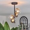 Chehalis Ceiling Light - glass 10 cm, 12 cm Amber, clear, Smoke-coloured, 4-light sources