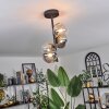Chehalis Ceiling Light - glass 12 cm Amber, clear, Smoke-coloured, 4-light sources