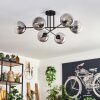 Gastor Ceiling Light - glass 15 cm clear, Smoke-coloured, 6-light sources