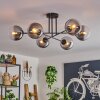 Gastor Ceiling Light - glass 15 cm clear, Smoke-coloured, 6-light sources
