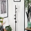 Remaisnil Floor Lamp - glass 10 cm, 12 cm clear, 5-light sources