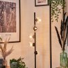 Remaisnil Floor Lamp - glass 10 cm, 12 cm clear, 5-light sources