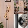 Remaisnil Floor Lamp - glass 10 cm, 12 cm Smoke-coloured, 5-light sources