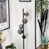 Remaisnil Floor Lamp - glass 10 cm, 12 cm Smoke-coloured, 5-light sources