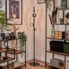 Remaisnil Floor Lamp - glass 10 cm, 12 cm Smoke-coloured, 5-light sources
