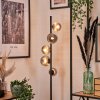 Remaisnil Floor Lamp - glass 10 cm, 12 cm Smoke-coloured, 5-light sources