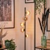 Remaisnil Floor Lamp - glass 10 cm, 12 cm Amber, 5-light sources