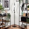 Remaisnil Floor Lamp - glass 10 cm, 12 cm white, 5-light sources
