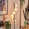 Remaisnil Floor Lamp - glass 10 cm, 12 cm white, 6-light sources