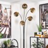 Ripoll Floor Lamp - glass 15 cm gold, clear, 5-light sources