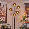 Ripoll Floor Lamp - glass 15 cm gold, clear, 5-light sources
