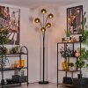 Ripoll Floor Lamp - glass 15 cm gold, clear, 5-light sources
