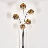 Ripoll Floor Lamp - glass 15 cm gold, clear, 5-light sources