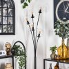 Gastor Floor Lamp - glass 15 cm clear, 5-light sources